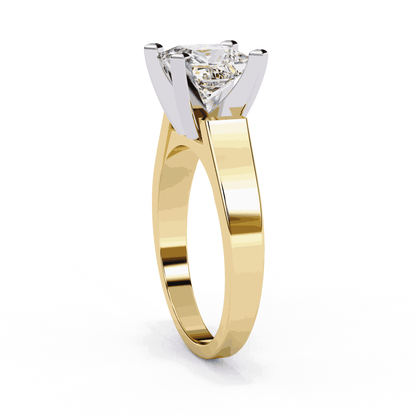Princess Cut Lab Grown Diamond Solitaire Engagement Ring with Wide Flat Euro Shank